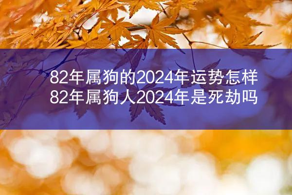 82年属狗的2024年运势怎样 82年属狗人2024年是死劫吗