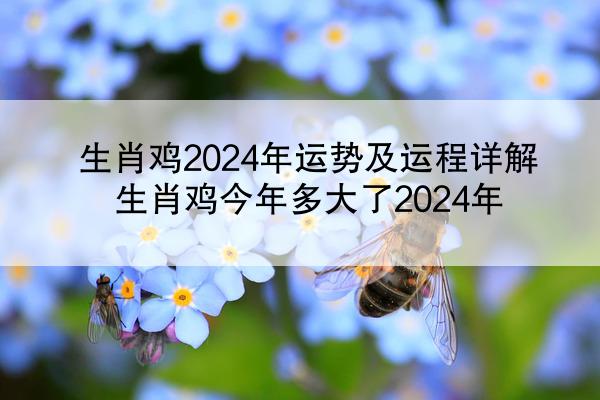 生肖鸡2024年运势及运程详解 生肖鸡今年多大了2024年