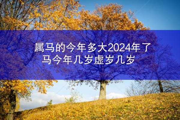 属马的今年多大2024年了 马今年几岁虚岁几岁