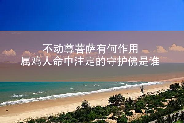 不动尊菩萨有何作用 属鸡人命中注定的守护佛是谁