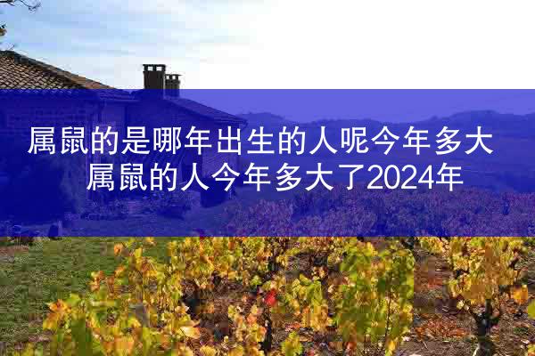 属鼠的是哪年出生的人呢今年多大 属鼠的人今年多大了2024年