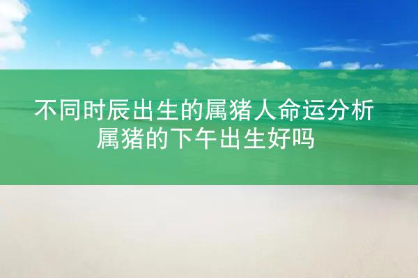 不同时辰出生的属猪人命运分析 属猪的下午出生好吗