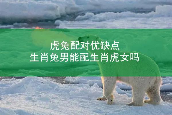 虎兔配对优缺点 生肖兔男能配生肖虎女吗
