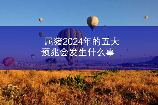 属猪2024年的五大预兆会发生什么事