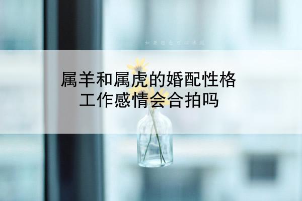 属羊和属虎的婚配性格工作感情会合拍吗