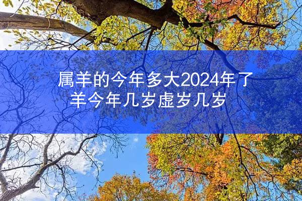 属羊的今年多大2024年了 羊今年几岁虚岁几岁