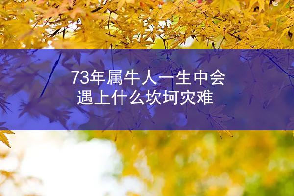 73年属牛人一生中会遇上什么坎坷灾难