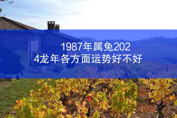 1987年属兔2024龙年各方面运势好不好