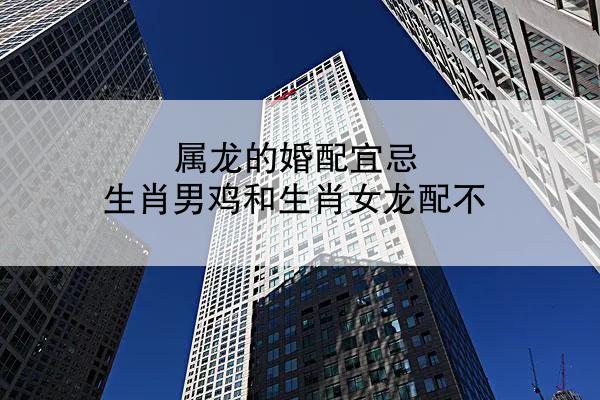 属龙的婚配宜忌 生肖男鸡和生肖女龙配不