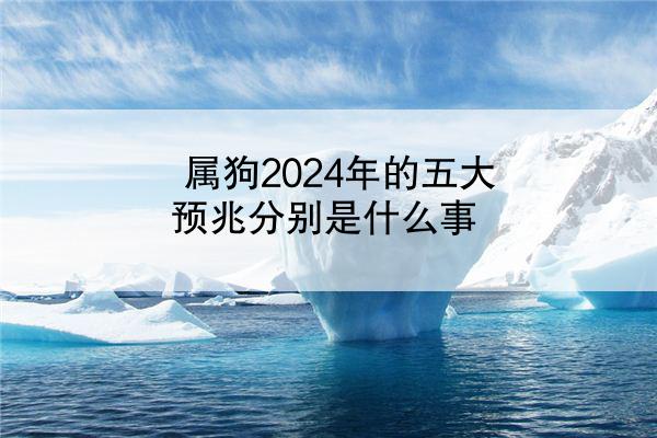 属狗2024年的五大预兆分别是什么事