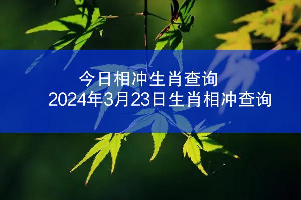 今日相冲生肖查询 2024年3月23日生肖相冲查询