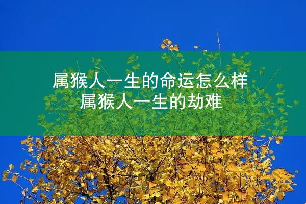 属猴人一生的命运怎么样 属猴人一生的劫难