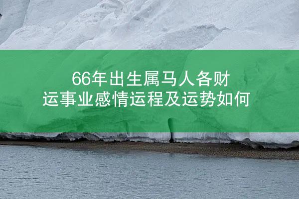 66年出生属马人各财运事业感情运程及运势如何