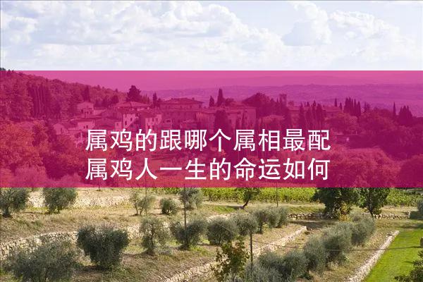  属鸡的跟哪个属相最配 属鸡人一生的命运如何