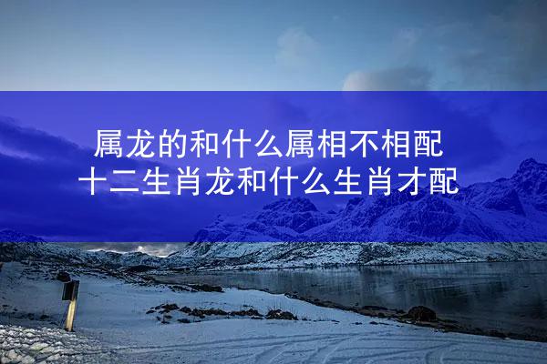 属龙的和什么属相不相配 十二生肖龙和什么生肖才配