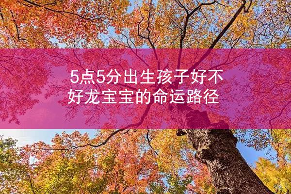 5点5分出生孩子好不好龙宝宝的命运路径