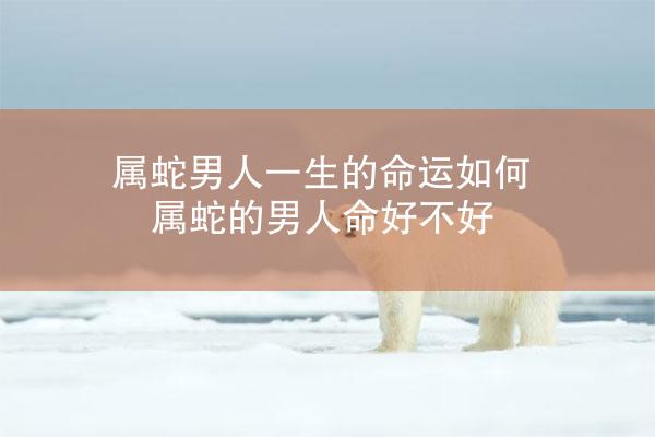 属蛇男人一生的命运如何 属蛇的男人命好不好
