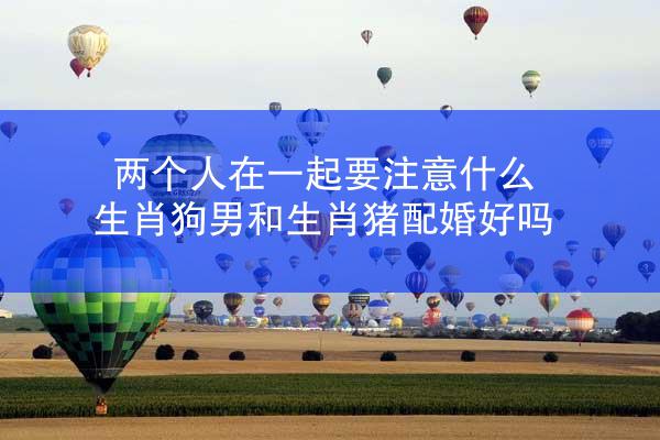 两个人在一起要注意什么 生肖狗男和生肖猪配婚好吗
