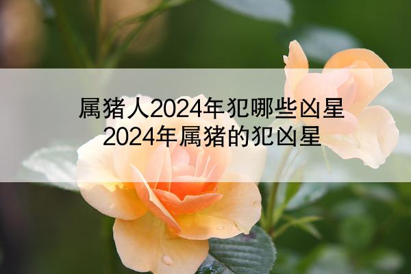 属猪人2024年犯哪些凶星 2024年属猪的犯凶星