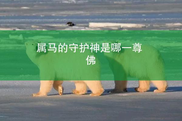 属马的守护神是哪一尊佛