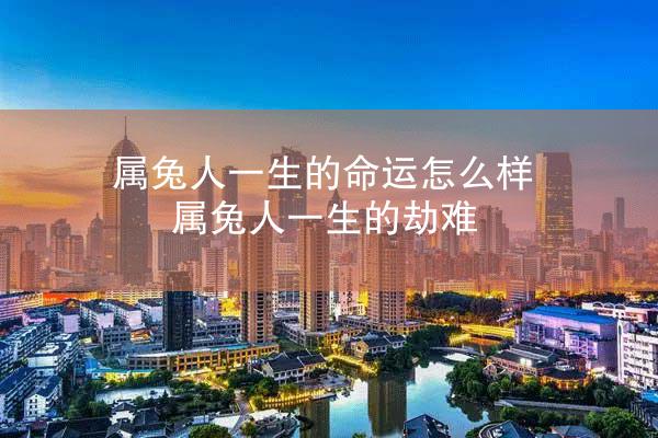 属兔人一生的命运怎么样 属兔人一生的劫难
