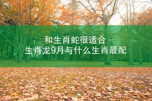 和生肖蛇很适合 生肖龙9月与什么生肖最配