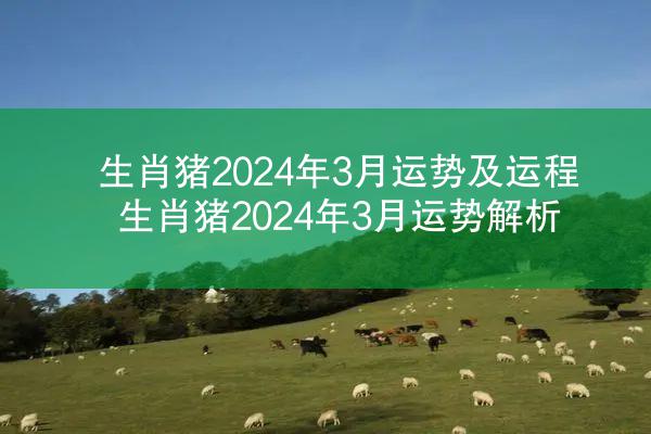 生肖猪2024年3月运势及运程 生肖猪2024年3月运势解析