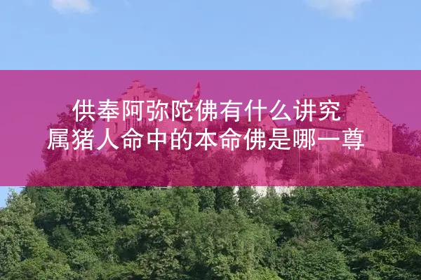 供奉阿弥陀佛有什么讲究 属猪人命中的本命佛是哪一尊