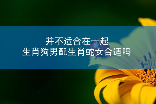 并不适合在一起 生肖狗男配生肖蛇女合适吗