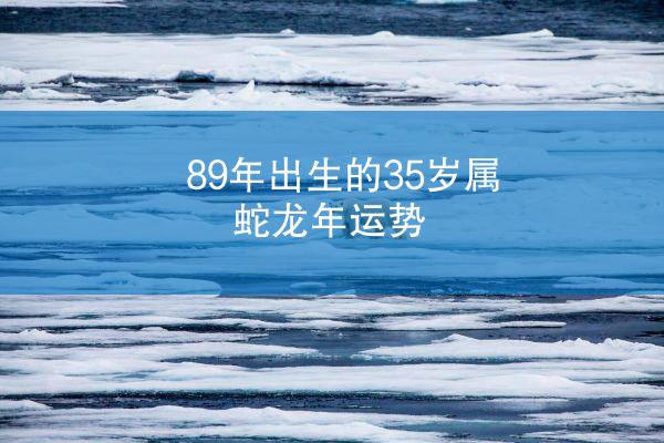 89年出生的35岁属蛇龙年运势