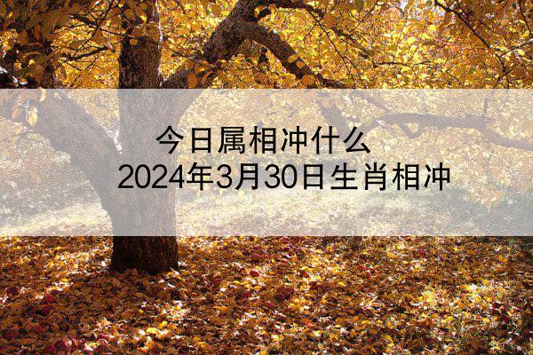 今日属相冲什么 2024年3月30日生肖相冲
