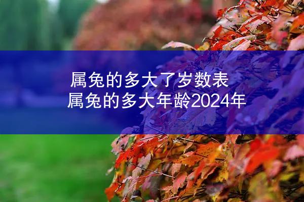 属兔的多大了岁数表 属兔的多大年龄2024年