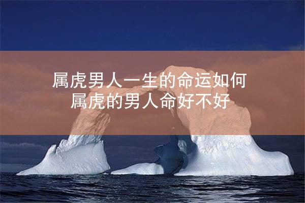 属虎男人一生的命运如何 属虎的男人命好不好