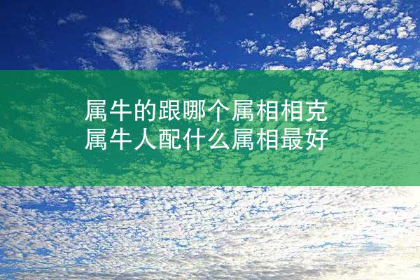 属牛的跟哪个属相相克 属牛人配什么属相最好