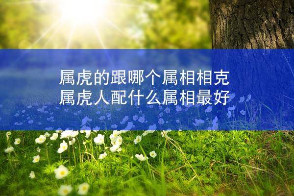 属虎的跟哪个属相相克 属虎人配什么属相最好