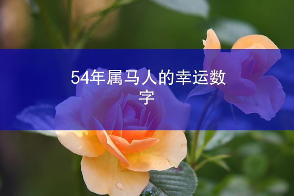 54年属马人的幸运数字