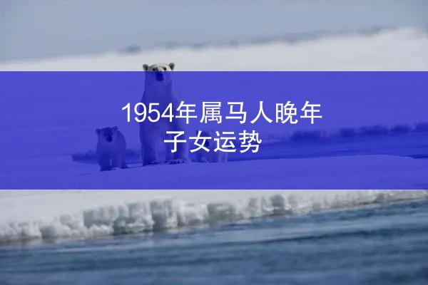 1954年属马人晚年子女运势