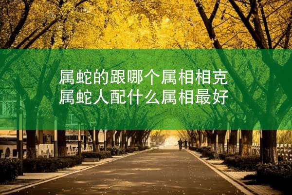 属蛇的跟哪个属相相克 属蛇人配什么属相最好