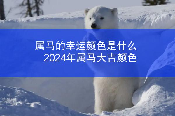 属马的幸运颜色是什么 2024年属马大吉颜色