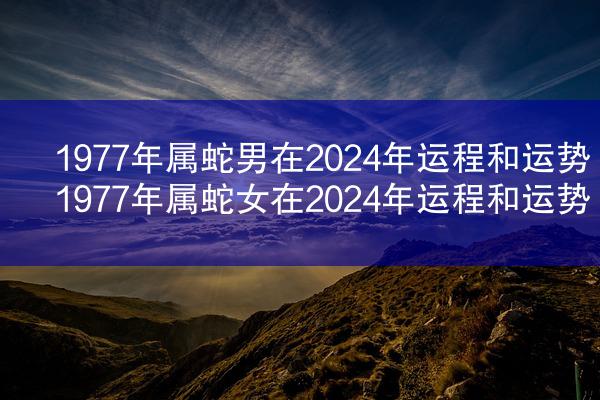 1977年属蛇男在2024年运程和运势 1977年属蛇女在2024年运程和运势