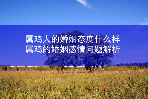属鸡人的婚姻态度什么样 属鸡的婚姻感情问题解析