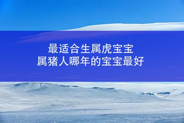 最适合生属虎宝宝 属猪人哪年的宝宝最好