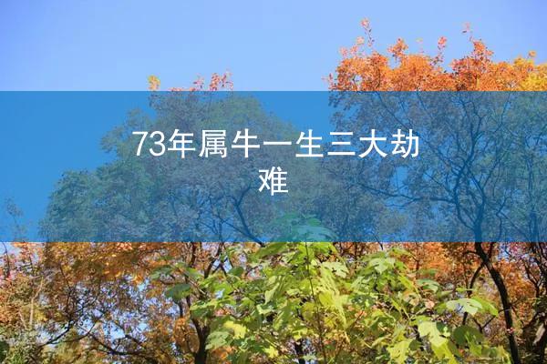 73年属牛一生三大劫难