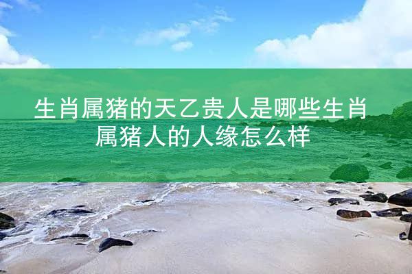 生肖属猪的天乙贵人是哪些生肖 属猪人的人缘怎么样