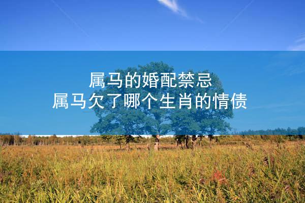 属马的婚配禁忌 属马欠了哪个生肖的情债