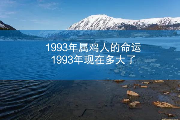 1993年属鸡人的命运 1993年现在多大了