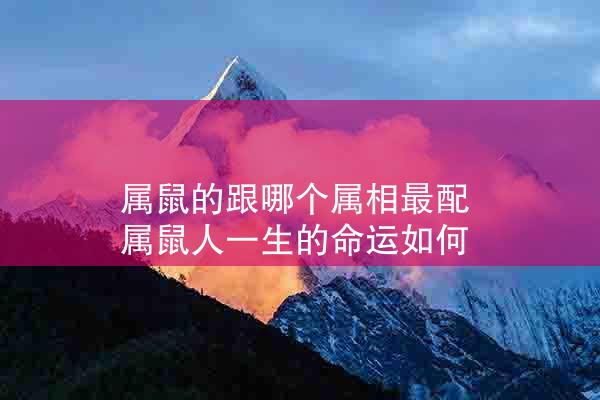 属鼠的跟哪个属相最配 属鼠人一生的命运如何