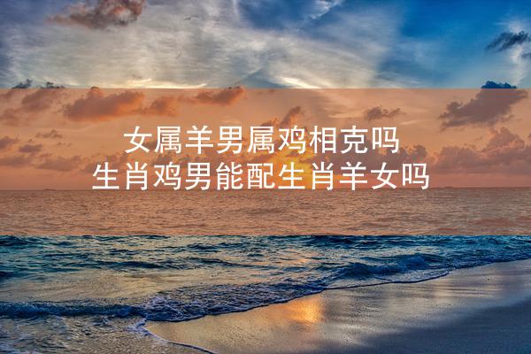 女属羊男属鸡相克吗 生肖鸡男能配生肖羊女吗