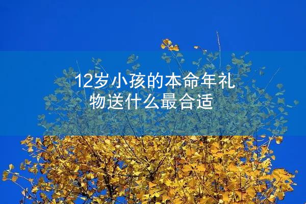 12岁小孩的本命年礼物送什么最合适