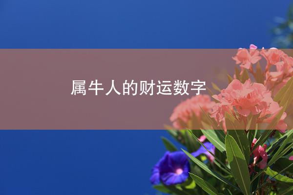 属牛人的财运数字